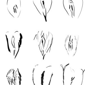 Phases — minimalist feminine transformation line art on canvas by Jonathan Biles